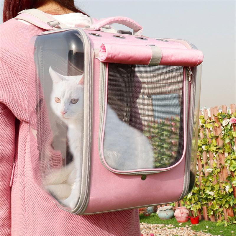 Person carrying a pink pet carrier with a white cat inside, outdoors.