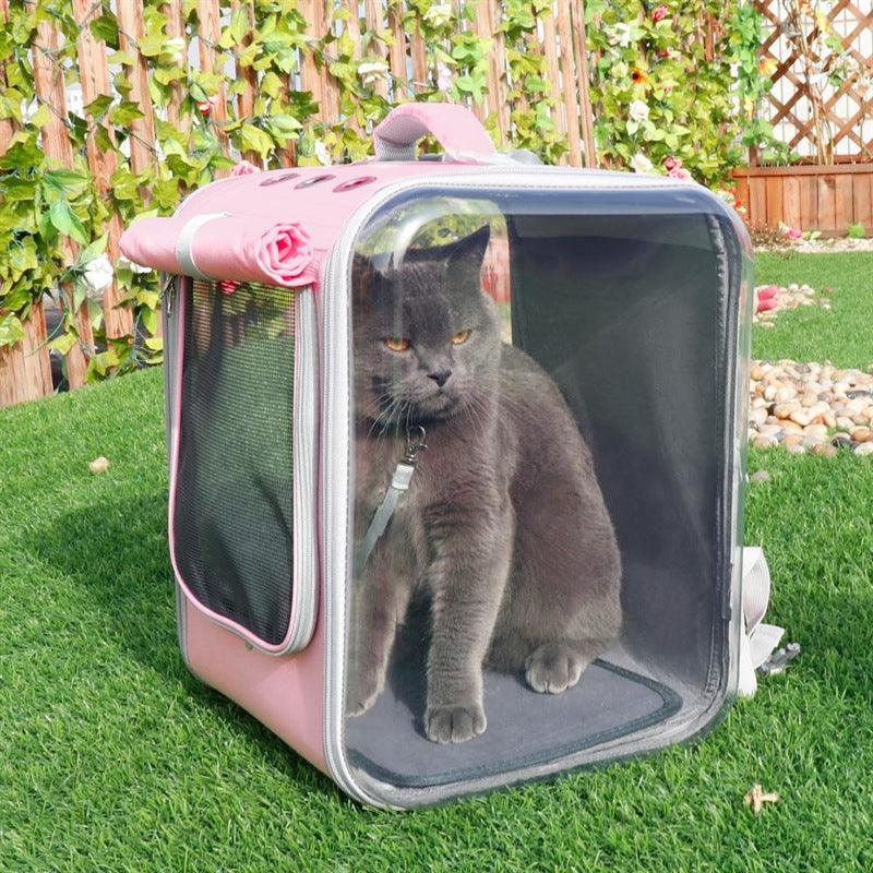 Cat sitting inside a pink pet carrier on grass