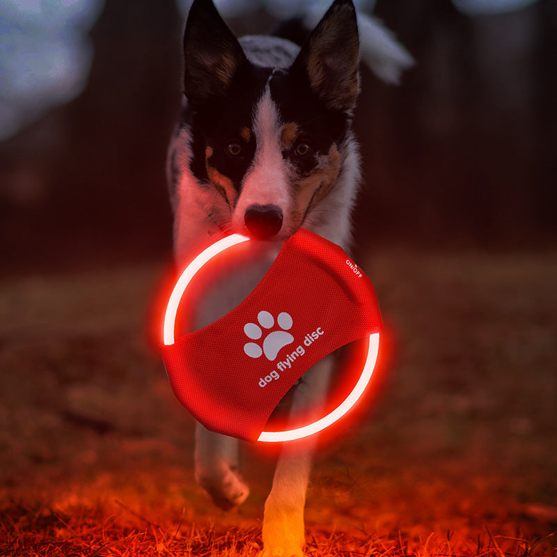 black and white dog carrying re Flying Discs Light Glowing LED Luminous