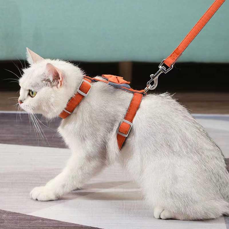 Colorful Cotton-Filled Cat Leash With Bow Detail-4