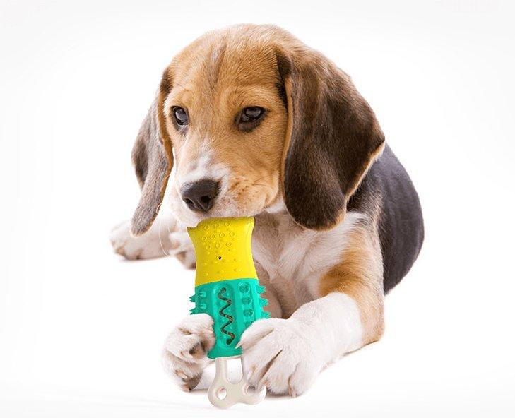 Cool Pup Dental Delight-1