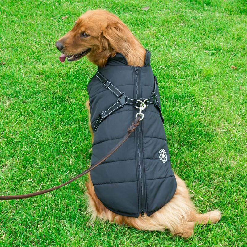 Cozycanine Integrated Cotton Vest - Stylish Winter Apparel For Dogs-5