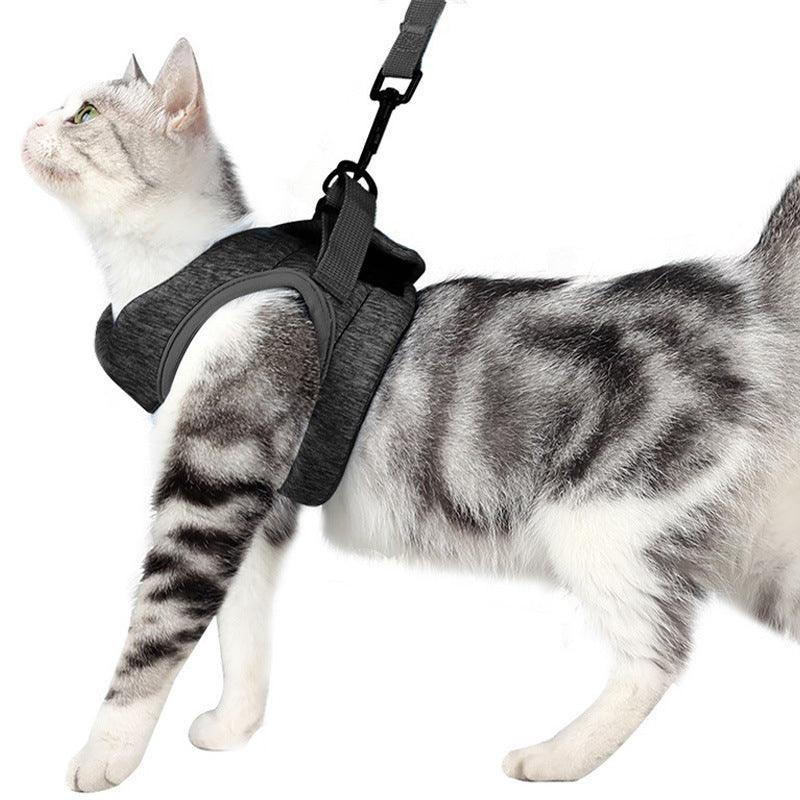 Lightweight Lace Cat Leash And Chest Strap Set - Stylish And Comfortable Outdoor Cat Harness-1