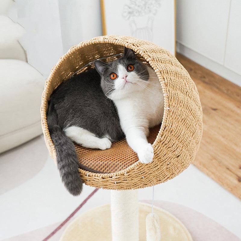Cat sitting inside a woven pet bed on a wooden floor.