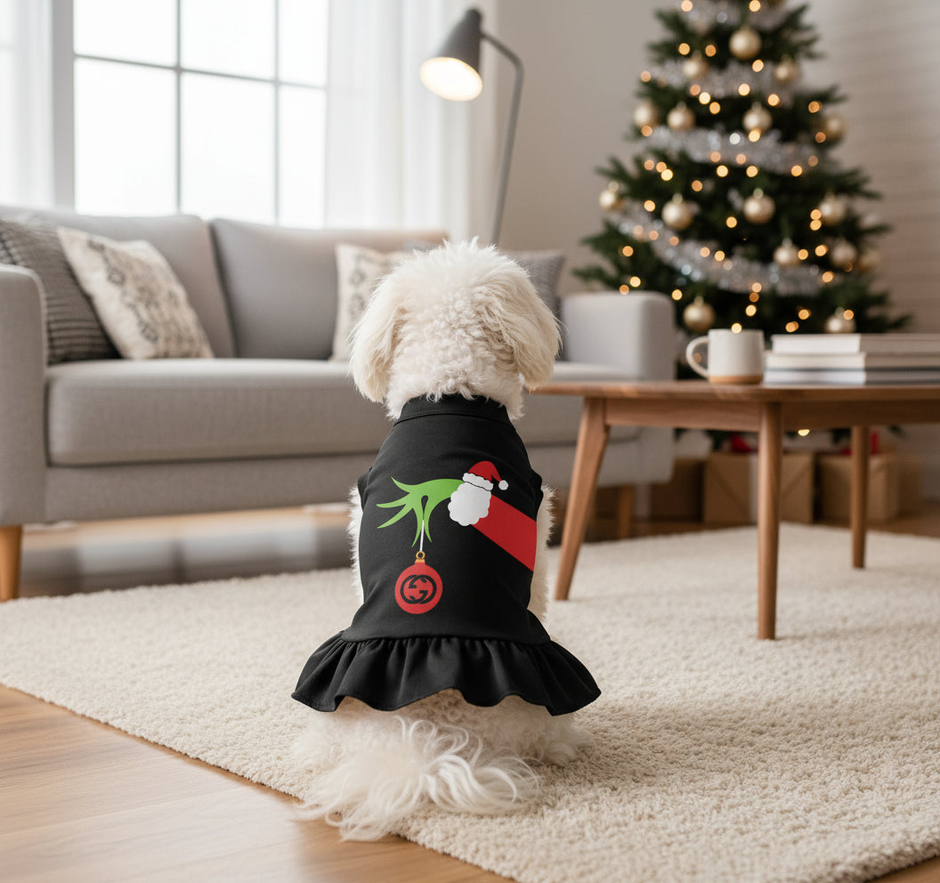 white dog in Black pet dress with grinch hand festive design in the living room