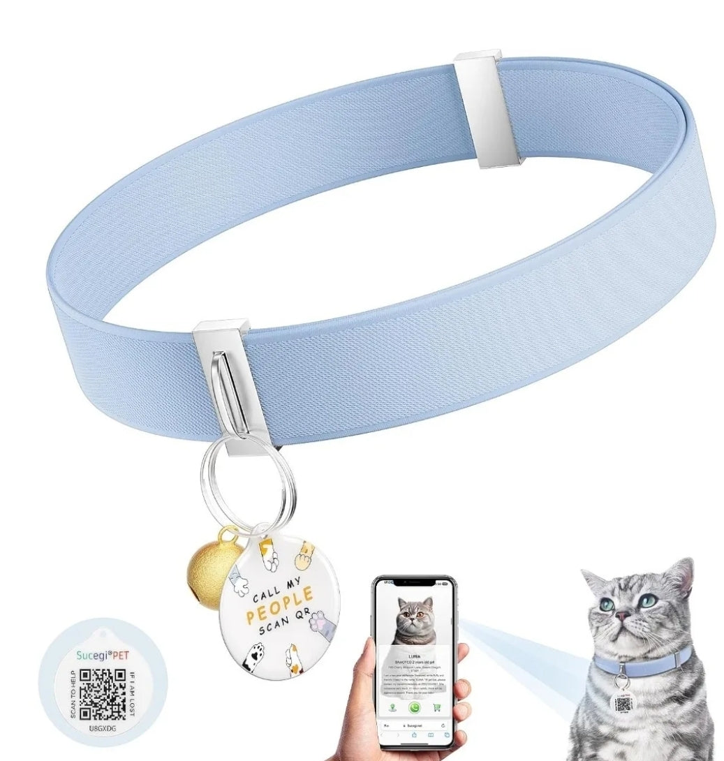Sky blue cat collar with charm
