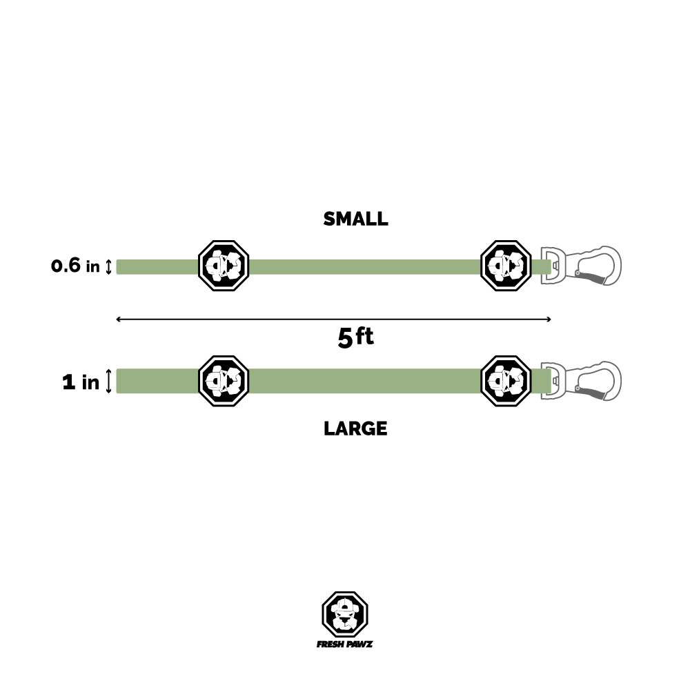 leash measurement chart